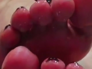 360594677