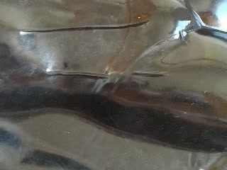 358070533