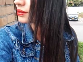 360081038