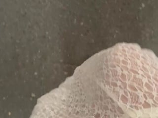 Barberry - Gratis Videor - 359962814