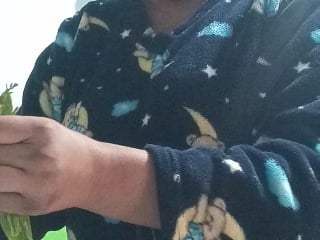 360604706