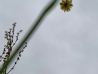 359328189