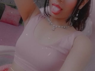 355045658