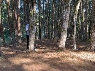 359784225