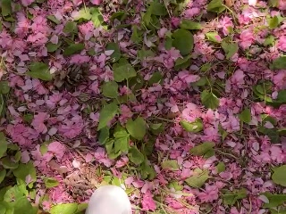 AnnaBet - Brezplačni video posnetki - 360002894