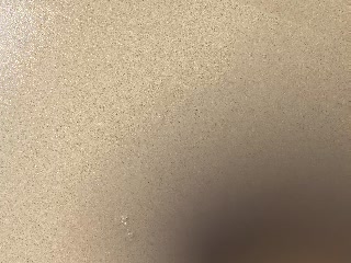 360225106