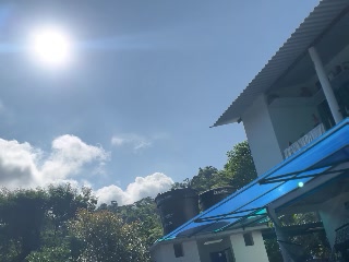 360225113