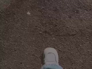 359053225