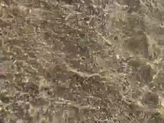360573966