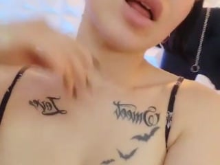 360206682